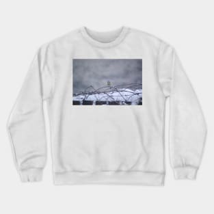 Blue tit in the snow Crewneck Sweatshirt